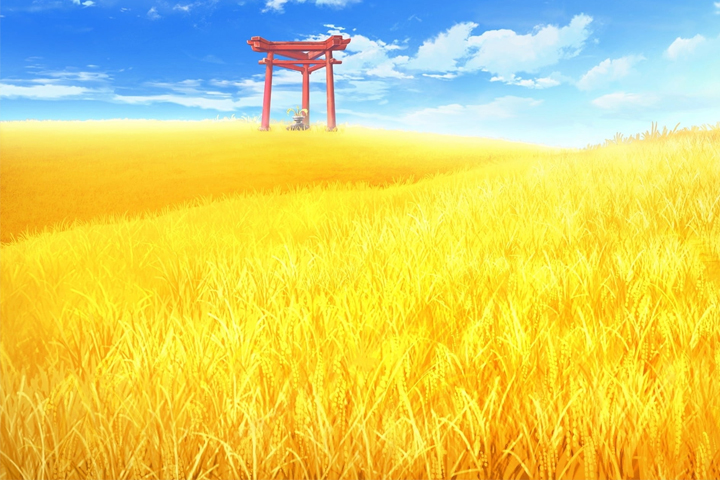 Những sắc màu cánh đồng lúa ở Tịnh Biên - VnExpress Du lịch