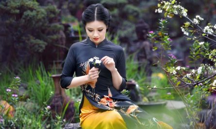anh-gai-xinh-viet-nam-ao-dai