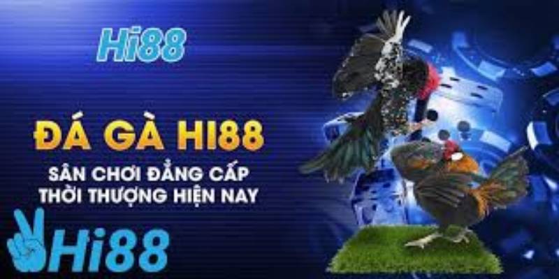 da-ga-hi88-gioi-thieu-thuong-hieu