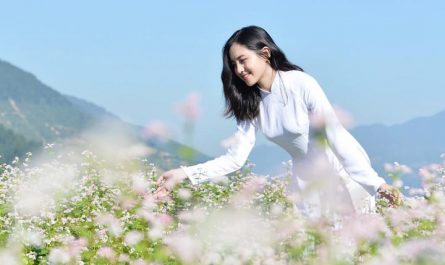 gai-xinh-tran-thu-trang-hoa-tam-giac-mach-ao-dai