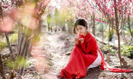 anh-gai-xinh-viet-nam-ao-dai-do-le-thi-phuong-thao