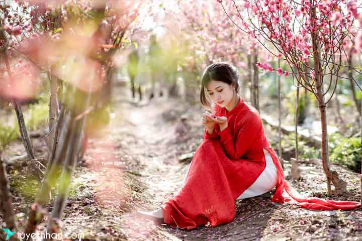 Lê Thị Phương Thảo | Áo dài tuyệt vời